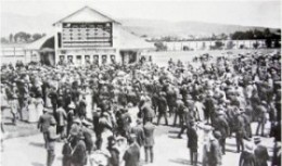 NZ Gambling History