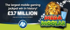 Mega Moolah mobile winner